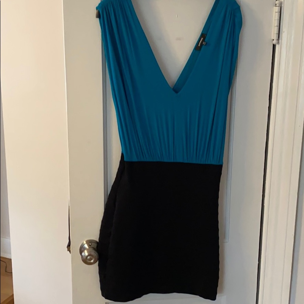 Express Fitted Mini Dress